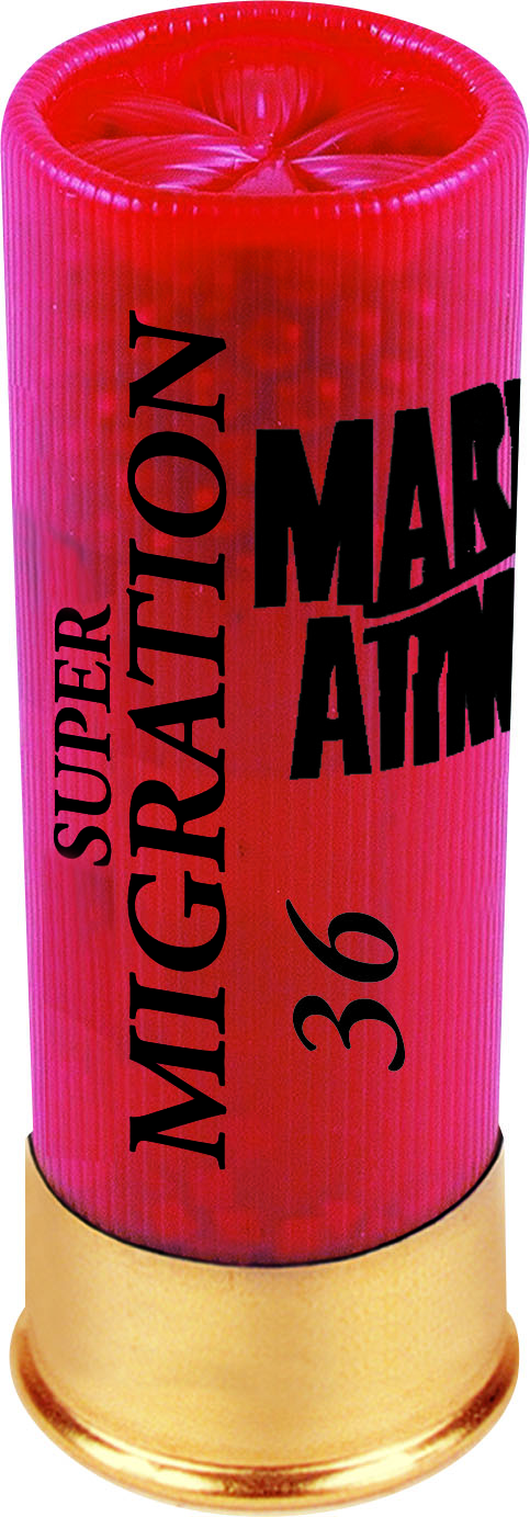 MARY ARM SUPER MIGRATION 36gr